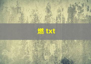 燃 txt